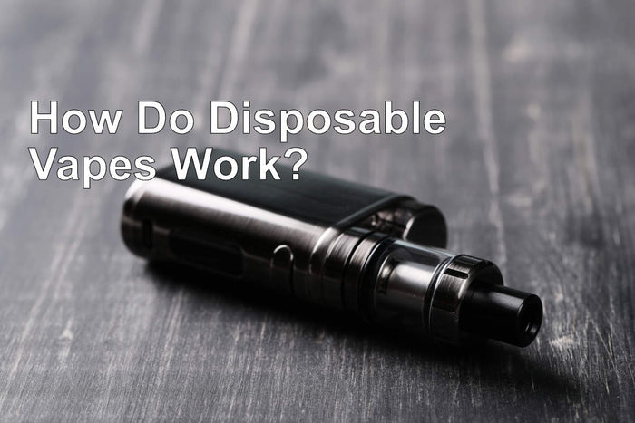 How Do Disposable Vapes Work - A Detailed Guide For Vaping