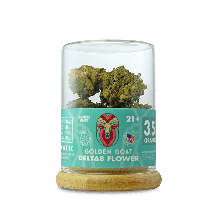 Golden Goat Delta 8 Flower | Gouda | PuffPlug305 | BestHempFinds